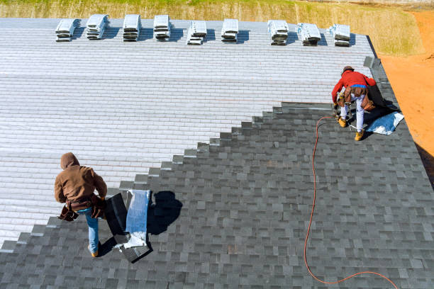 Steel Roofing in Cologne, NJ